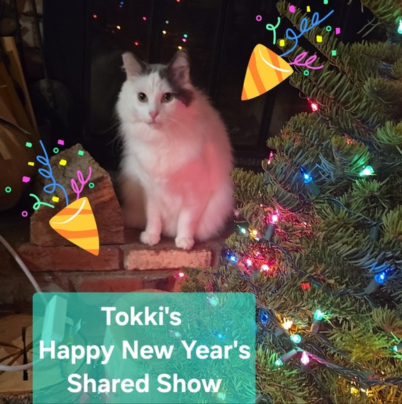 Live Show Flyer - Picture 2 of 10